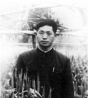 相识1个月闪婚，却独宠她57年：90岁的袁隆平，也太酷了！