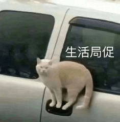 @祁门人，2020年最新结婚价目表来了