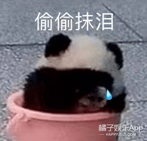 现实版何以琛翻车？心动的offer薛俊杰被曝劈腿，真全员海王？