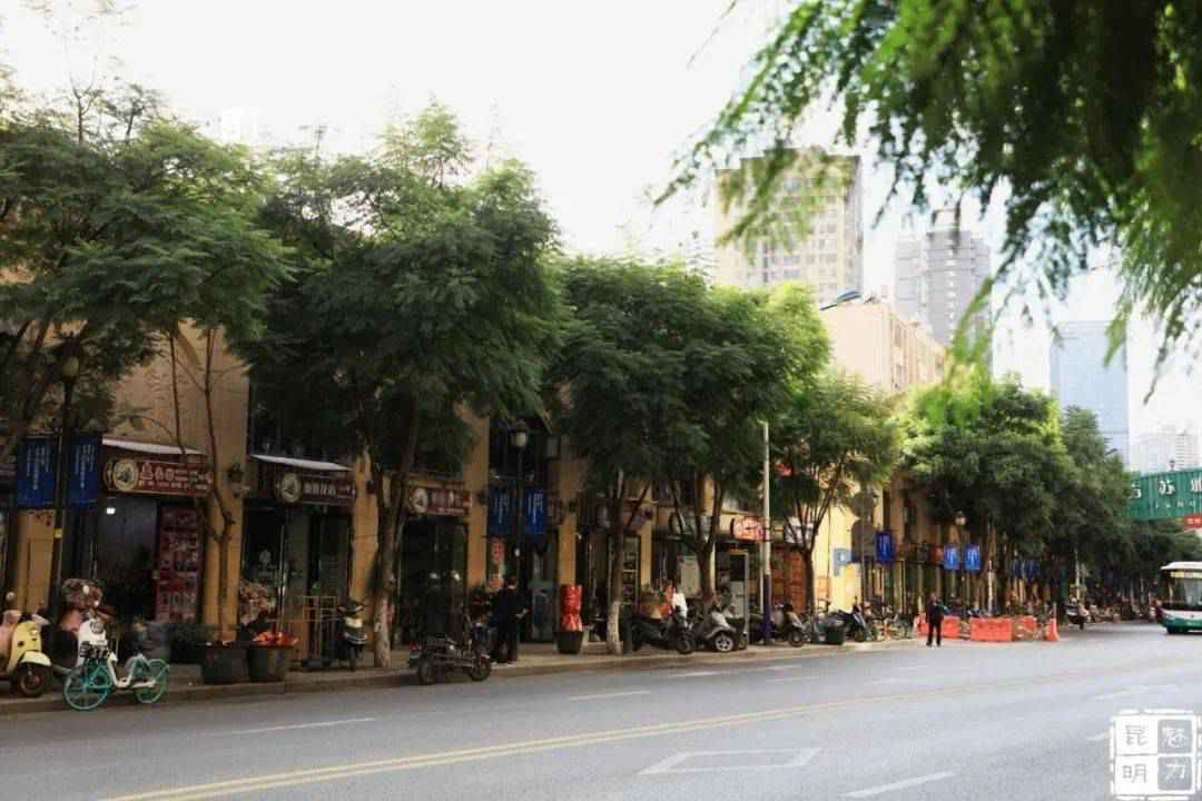 这个藏在联盟路上的法式公园，你一定没去过