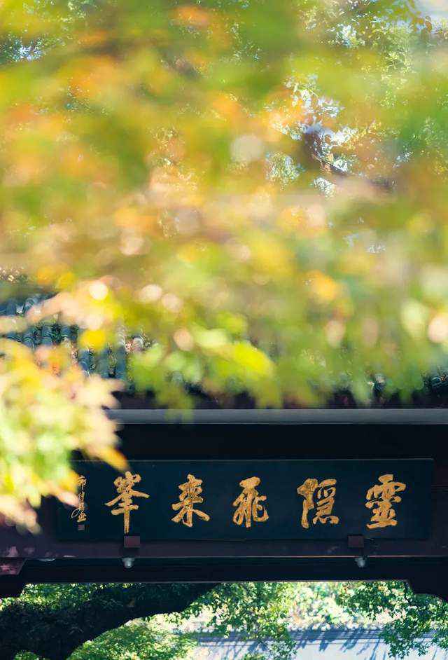 中国最美季节进行时：南北方的秋天，哪个更美？
