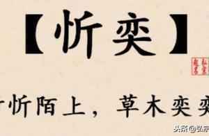 宝宝起名#金秋生猪宝宝，起个最美的名字
