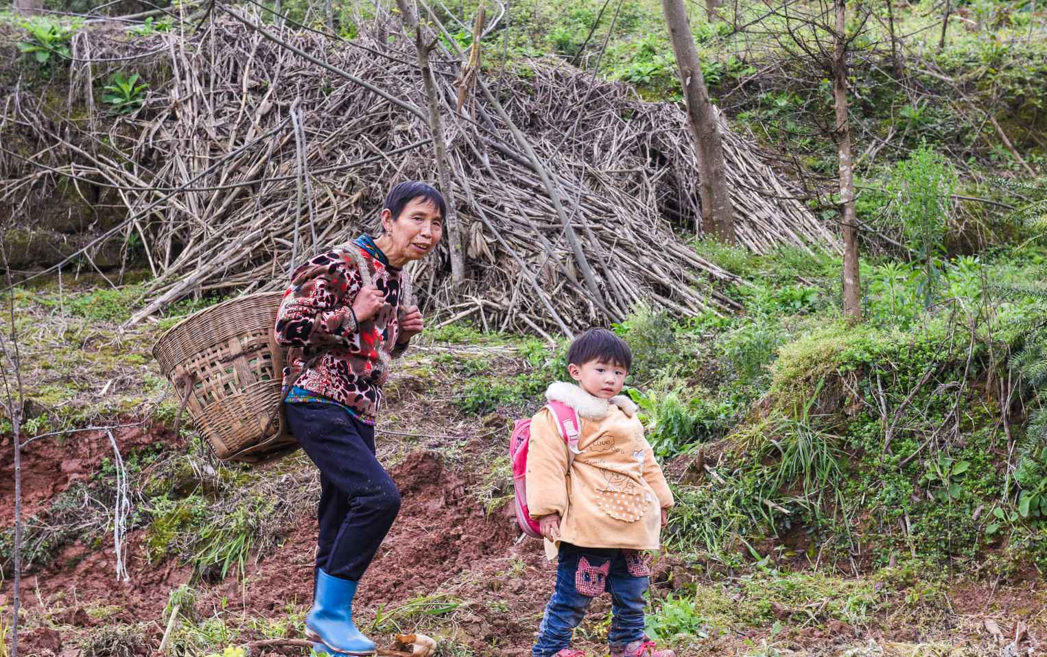 原来最好、最懂你的的风景，都在家乡里