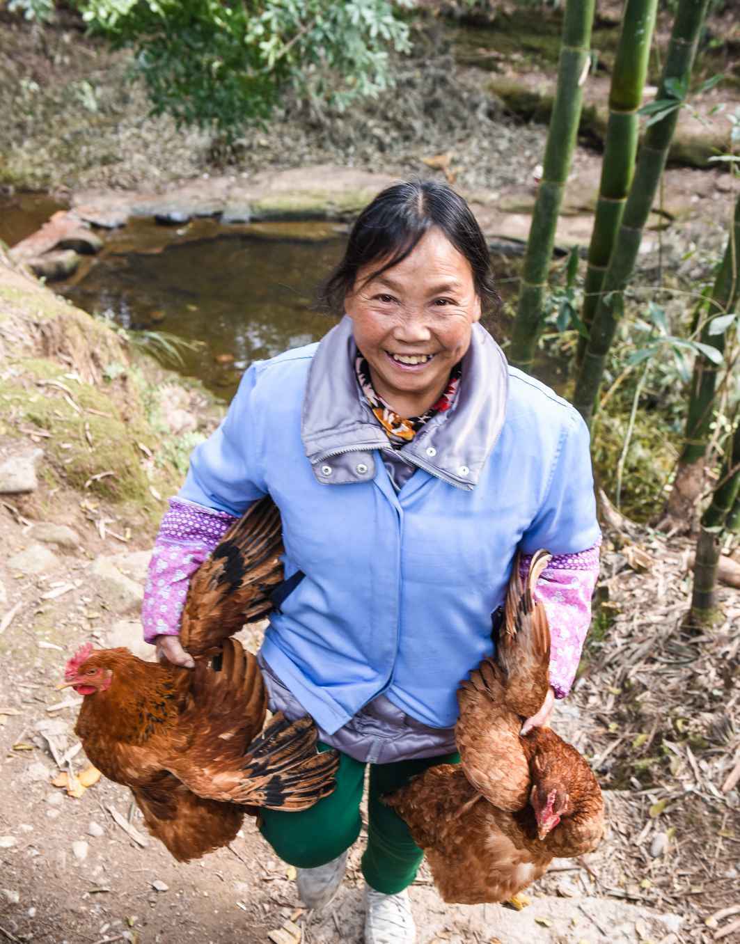 原来最好、最懂你的的风景，都在家乡里