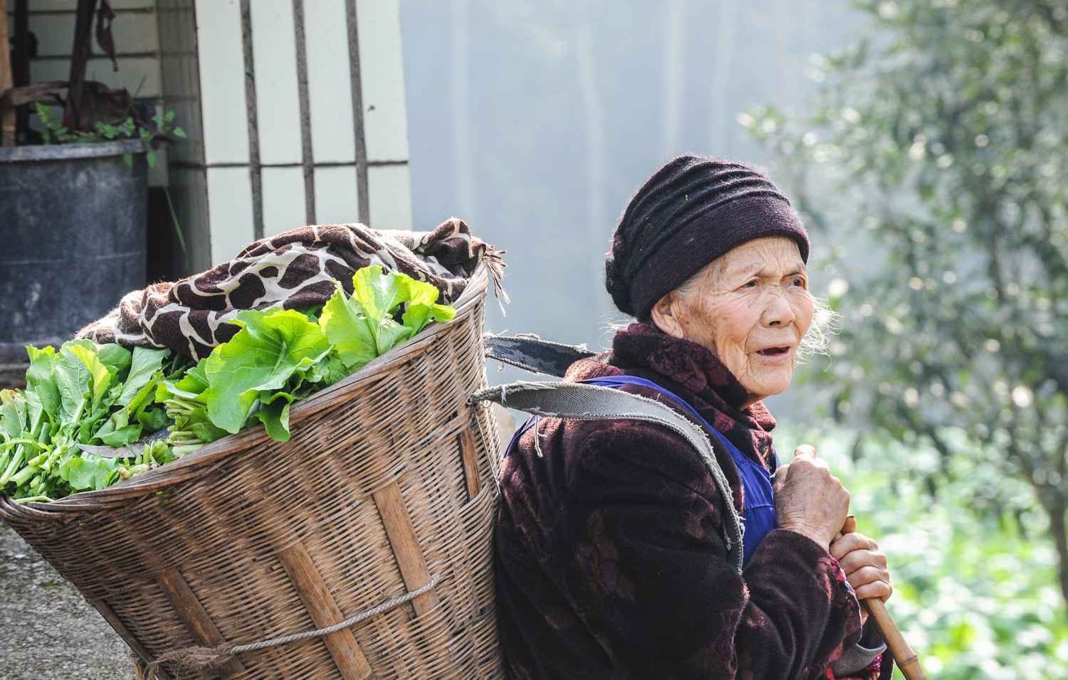 原来最好、最懂你的的风景，都在家乡里