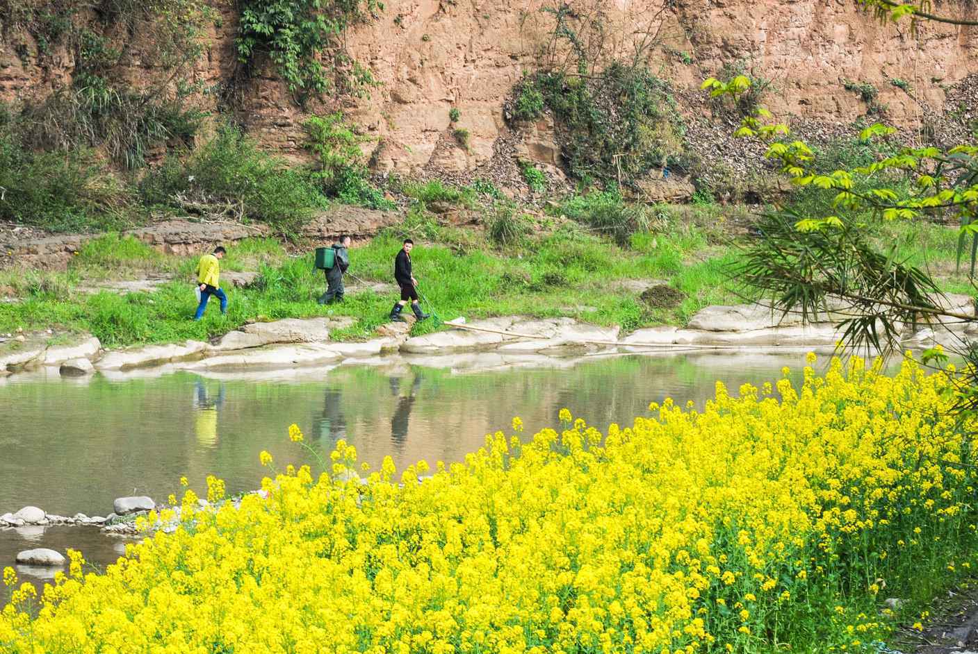 原来最好、最懂你的的风景，都在家乡里