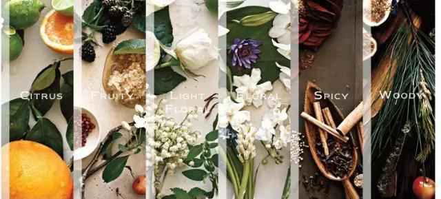 Jo Malone 祖马龙香水合集 | 小众高端，每个味道都让人魂牵梦萦
