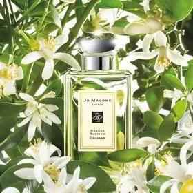 Jo Malone 祖马龙香水合集 | 小众高端，每个味道都让人魂牵梦萦
