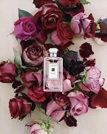 Jo Malone 祖马龙香水合集 | 小众高端，每个味道都让人魂牵梦萦