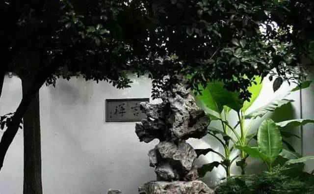 中式园林造景的经典植物！