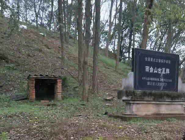 追捕26年：盗墓者和战国墓的守护人