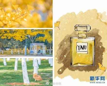 以校园美景为“香料” 云大学子“调”出限量版“香水”