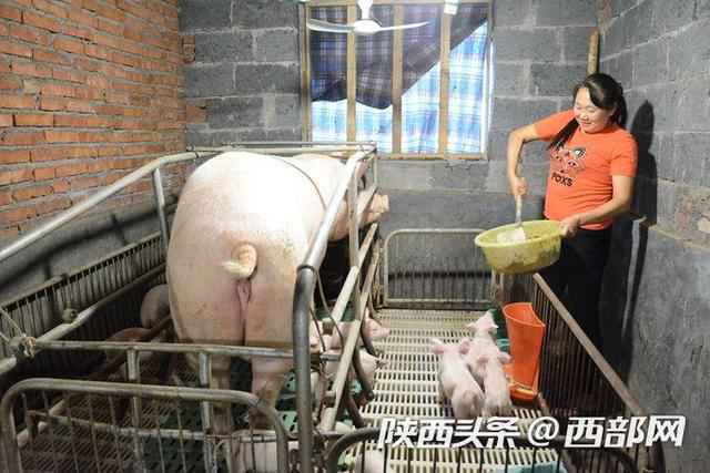 她靠一双手勤劳致富，奉养2位高龄老人，供3个孩子读书