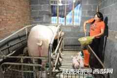 她靠一双手勤劳致富，奉养2位高龄老人，供3个孩子读书