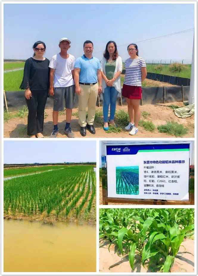 丹吉儿·点点滴滴为母婴‖我们的良心，给你们一片安心