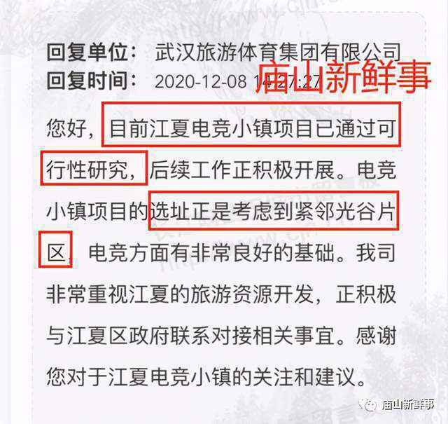 江夏电竞小镇新进展！项目已通过可行性研究！