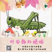 晚安故事--好安静的蟋蟀