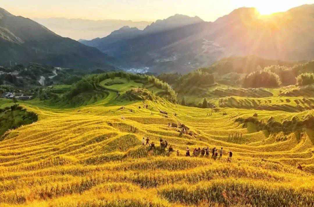丽水的“世外桃源”找到了！原生态净土畅快吸氧，《国家地理》都为它们打CALL！