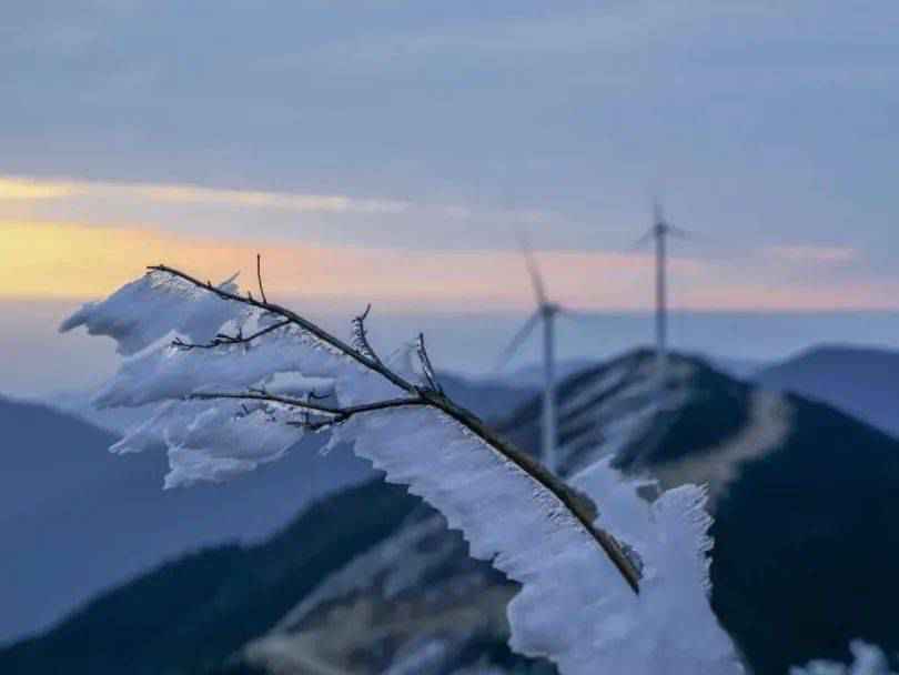 丽水的“世外桃源”找到了！原生态净土畅快吸氧，《国家地理》都为它们打CALL！