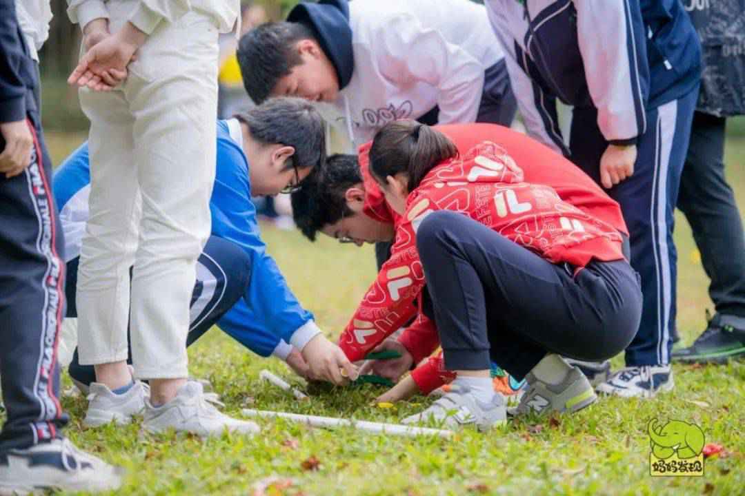 元旦 | 星空小镇庆新年：千亩榄园、亿颗星星，享美好亲子时光！