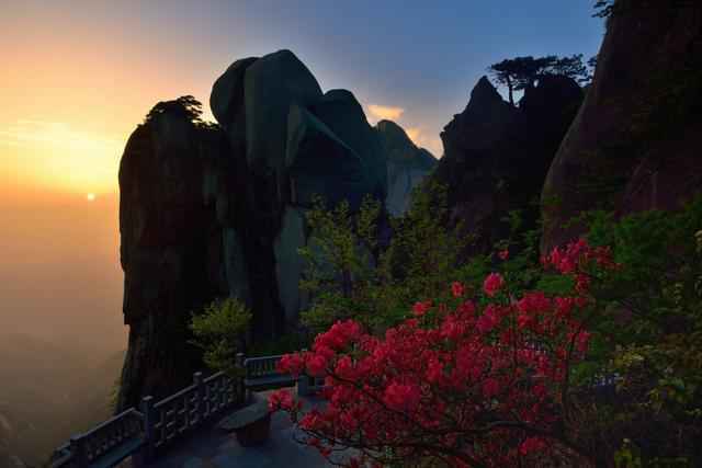 游天柱，赏一山花海