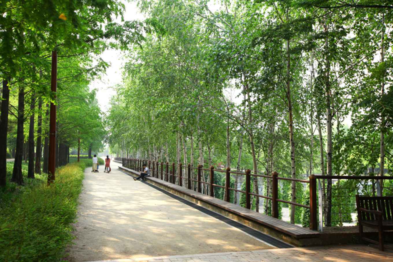 跟着“线上大咖”走遍首尔热门打卡地吧