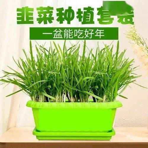 商河优选|9块9抢鲁海洗浴汗蒸票 本年最后一波