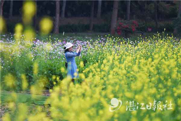 又添赏花好去处