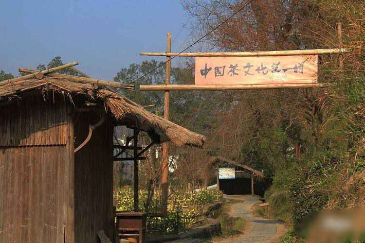 中国茶文化第一村，隶属江西上饶，是婺源文化一颗璀璨的明珠