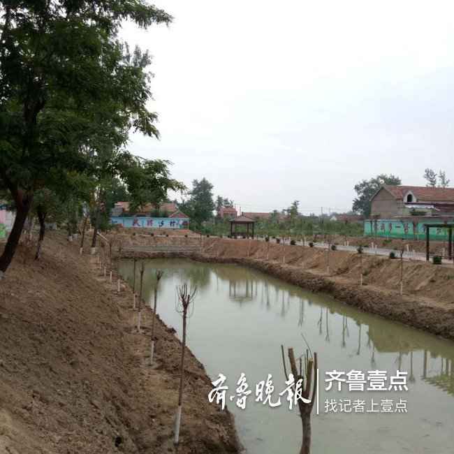 单县齐楼第一书记曹彦军：能人 产业，引领乡村振兴