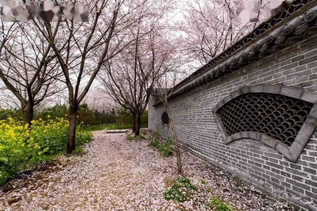 【“魏”资讯】喜讯！鄢陵唐韵生态旅游区荣膺国家4A级旅游景区