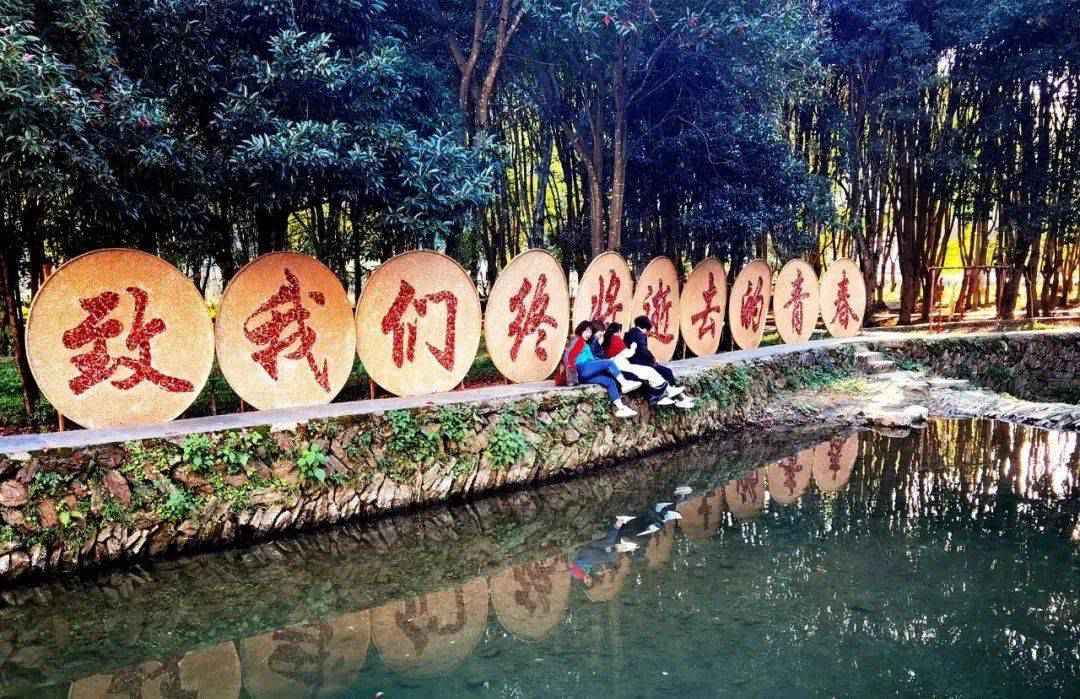 在婺源李坑丨追寻我们逝去的青春！