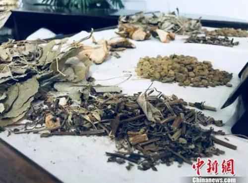 资料图 <a target='_blank'  data-cke-saved-href='http://www.chinanews.com/' href='http://www.chinanews.com/'>中新社</a>记者 芊烨 摄