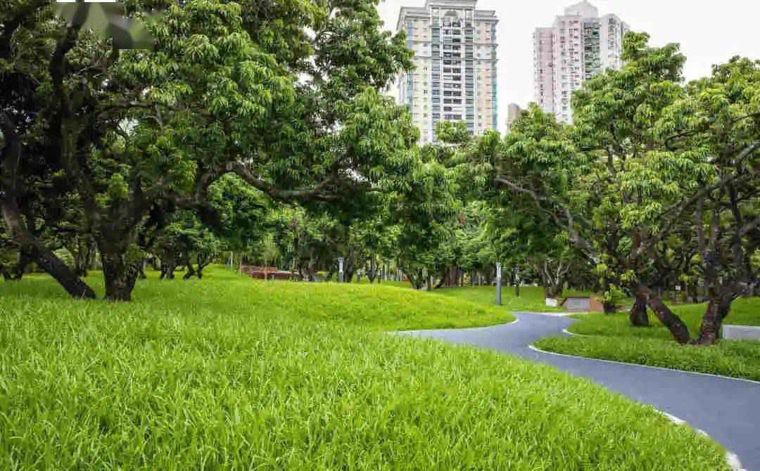 假期溜娃，深圳这些新开的公园，每一个都美炸天！
