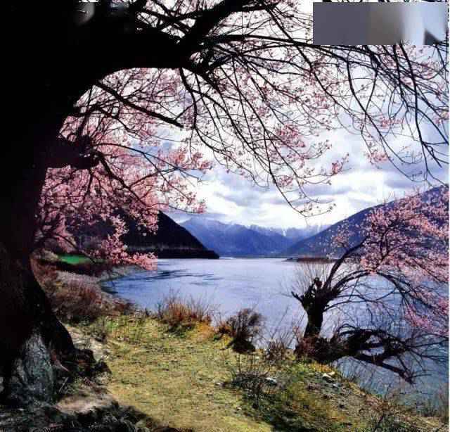 超有用！2021西藏最美旅行时间表，收藏起来以后去吧