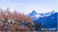 2020年西藏游：雅鲁藏布江，嘎朗湖，岗云杉林，草湖