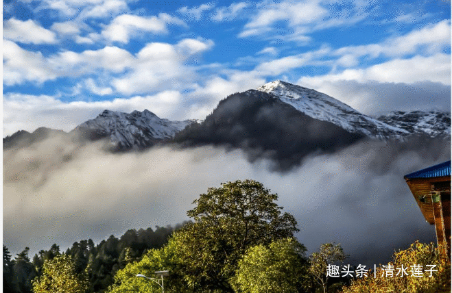 2020年西藏游：雅鲁藏布江，嘎朗湖，岗云杉林，草湖
