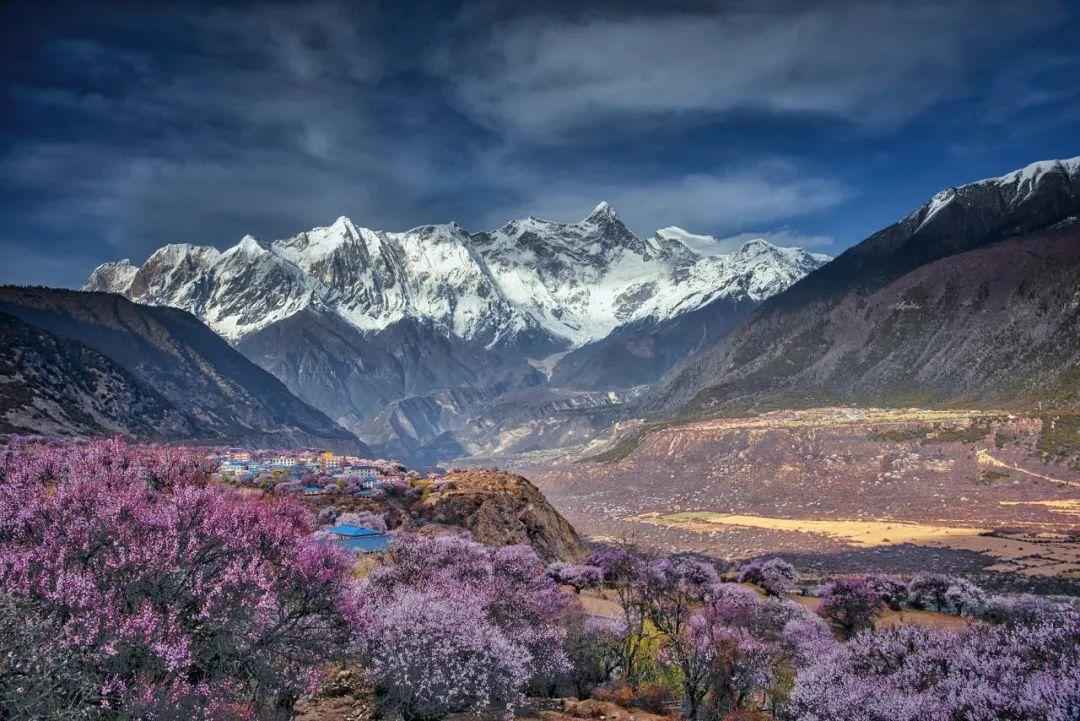 久等了！2021西藏最美旅行月历表出炉，收好痛快玩一整年！思鹿旅行推荐