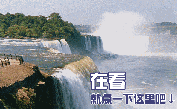@留沪过年的普陀创业者，春节假期的节目单来了！