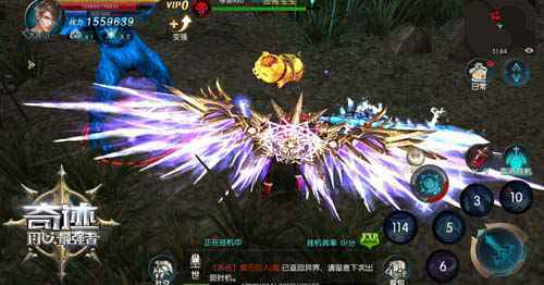 本命萌宠 《奇迹：最强者》金猪宠物霸气卖萌