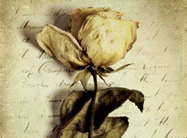 原创
7岁女童感染性病，家长逼问孩子说：是“大爹”要我陪他耍一下！