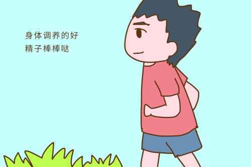备孕有哪些注意事项？饮食有什么要注意的？
