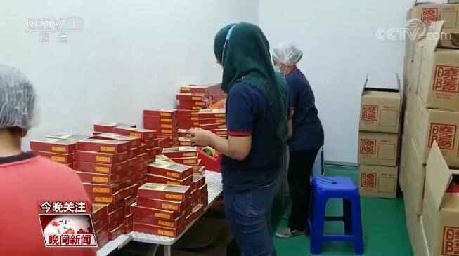 【中国—东盟 建设更为紧密的命运共同体】互联互通 区域合作添新机