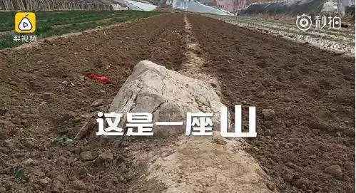 “全国最小山”火了：腿长一步跨过 村里想变景