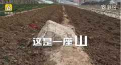 “全国最小山”火了：腿长一步跨过 村里想变景