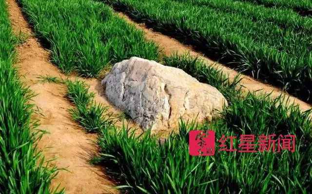 “全国最小山”火了：腿长一步跨过 村里想变景