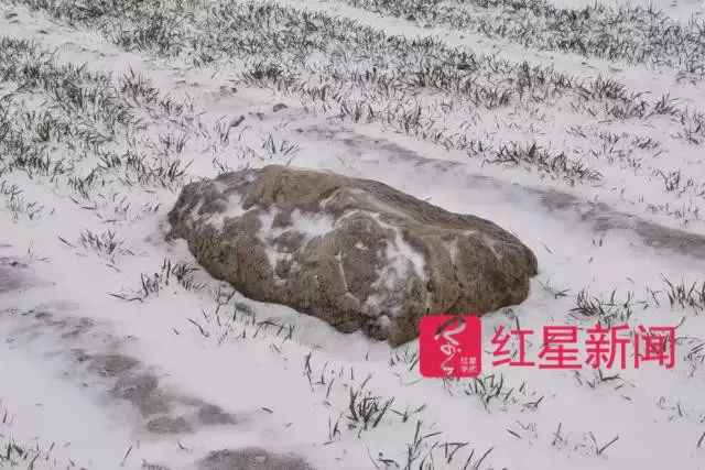 “全国最小山”火了：腿长一步跨过 村里想变景