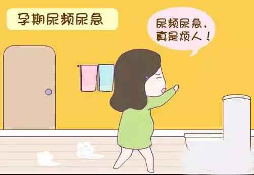 准妈妈孕期尿频，老想上厕所是怎么回事？
