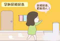 准妈妈孕期尿频，老想上厕所是怎么回事？