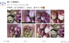 带货鲜花品相不佳 罗永浩连更数条微博道歉